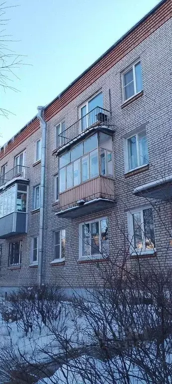 1-к кв. Санкт-Петербург, Санкт-Петербург, Пушкин Магазейная ул., 11 ... - Фото 1