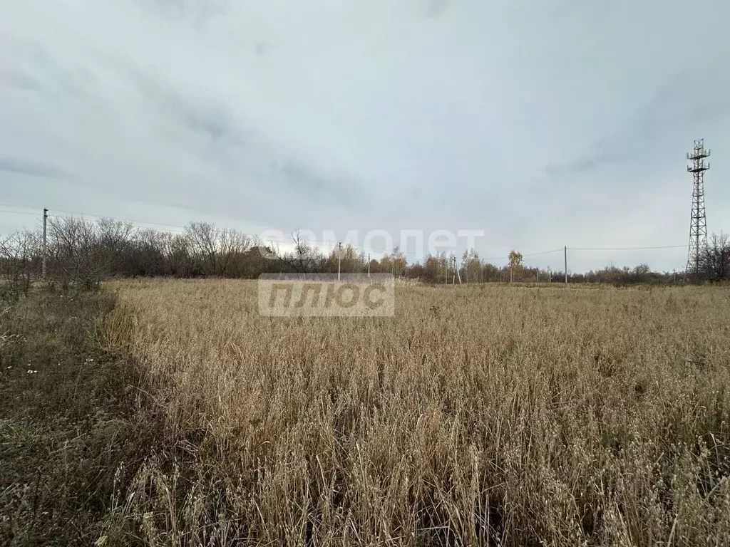 Участок в Липецкая область, Липецк Желтые пески СНТ, 369 (12.0 сот.) - Фото 1