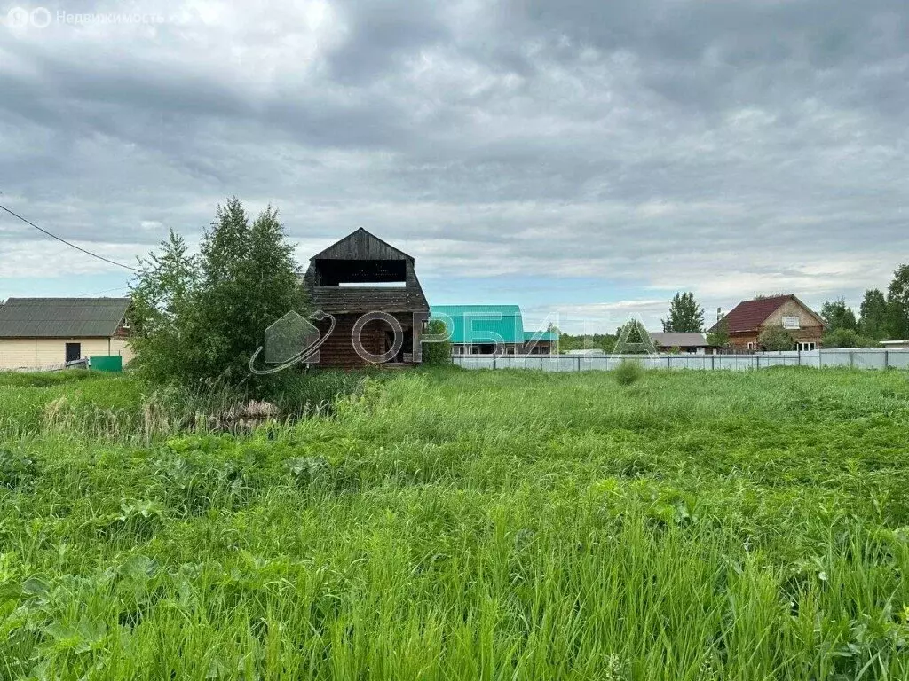 Участок в Тюмень, садовое товарищество Липовый Остров (9.6 м) - Фото 2