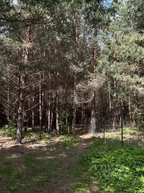 Участок в Калужская область, Калуга городской округ, д. Крутицы проезд ... - Фото 1