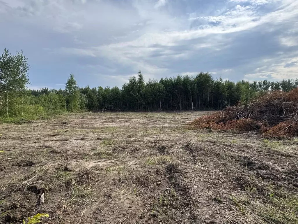 Участок в Нижегородская область, Нижний Новгород с. Безводное,  (10.0 ... - Фото 1