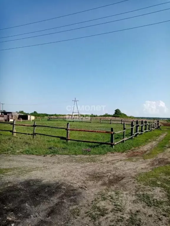 Участок в Алтайский край, Смоленский район, Верх-Обский сельсовет, ... - Фото 2