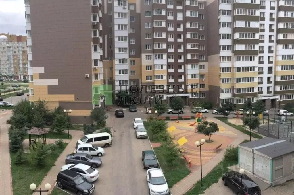 2-к кв. Белгородская область, Белгород бул. Строителей, 16 (50.9 м) - Фото 1