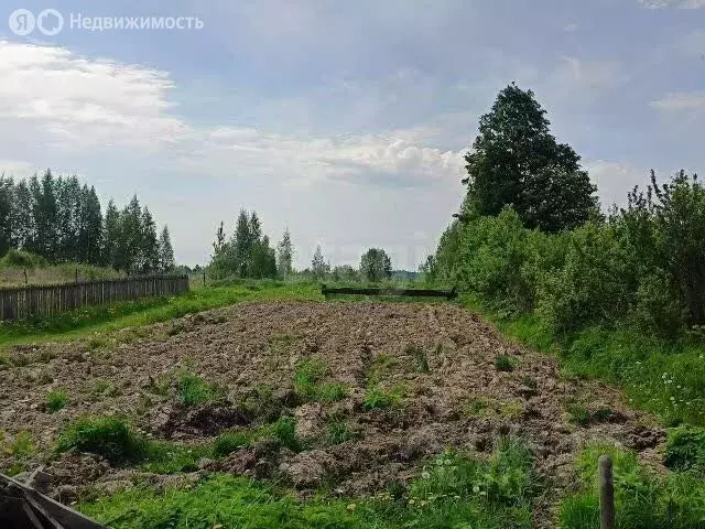 Участок в Ярославский муниципальный округ, деревня Поленское (11.86 м) - Фото 1