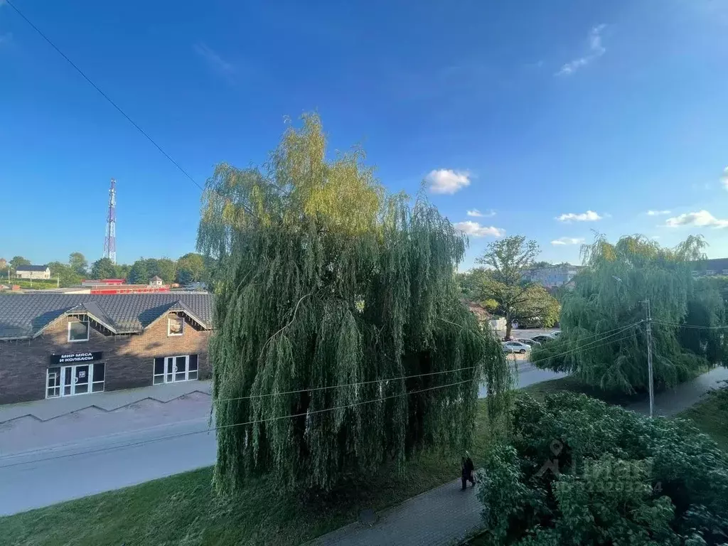 3-к кв. Калининградская область, Гвардейск ул. Мира, 1 (60.6 м) - Фото 2