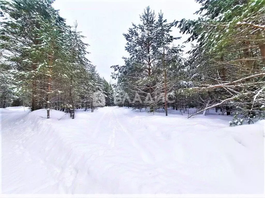 Участок в Владимирская область, Владимир Миловка СТ,  (61.3 сот.) - Фото 1