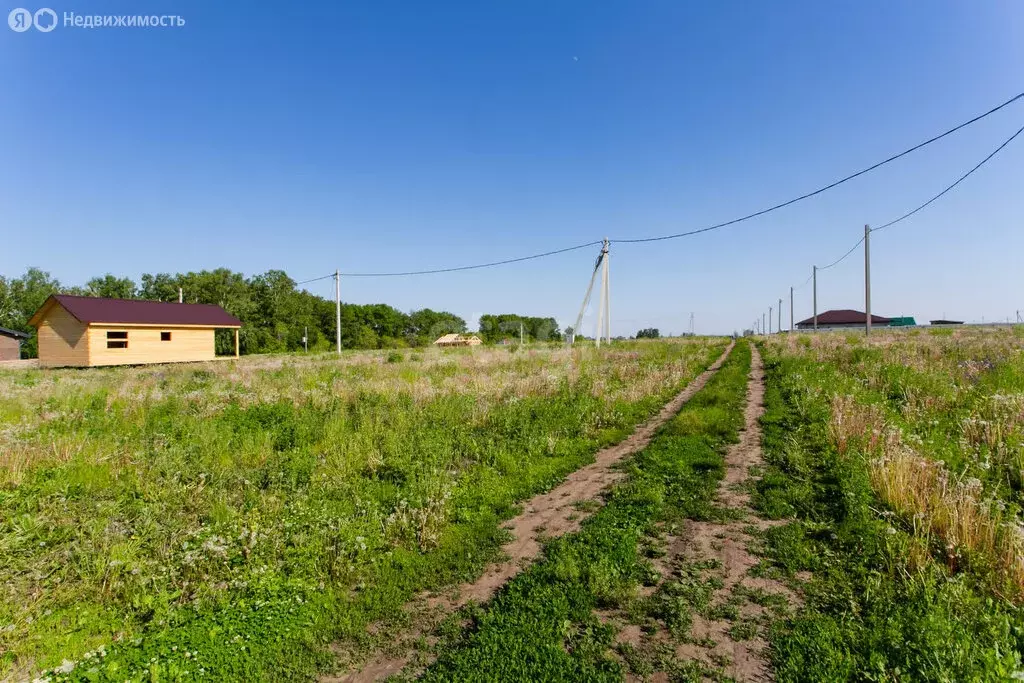 Участок в Новосибирский район, Морской сельсовет, село Ленинское (11.1 ... - Фото 0