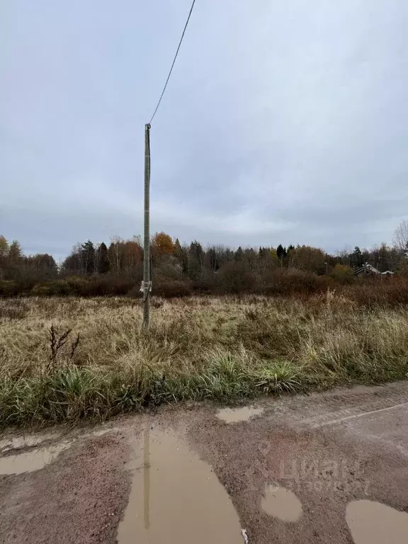 Участок в Ленинградская область, Выборгский район, Красносельское ... - Фото 1