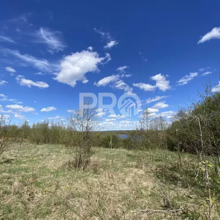 Участок в Ярославская область, Тутаевский муниципальный округ, д. ... - Фото 1