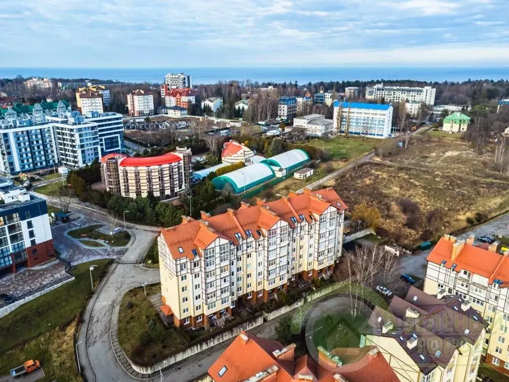 1-к кв. Калининградская область, Светлогорск Олимпийский бул., 5 (33.0 ... - Фото 0