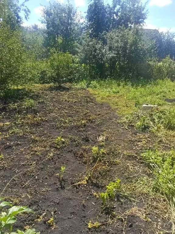 Дом в Пензенская область, Пенза Гудок СНТ,  (60 м) - Фото 1