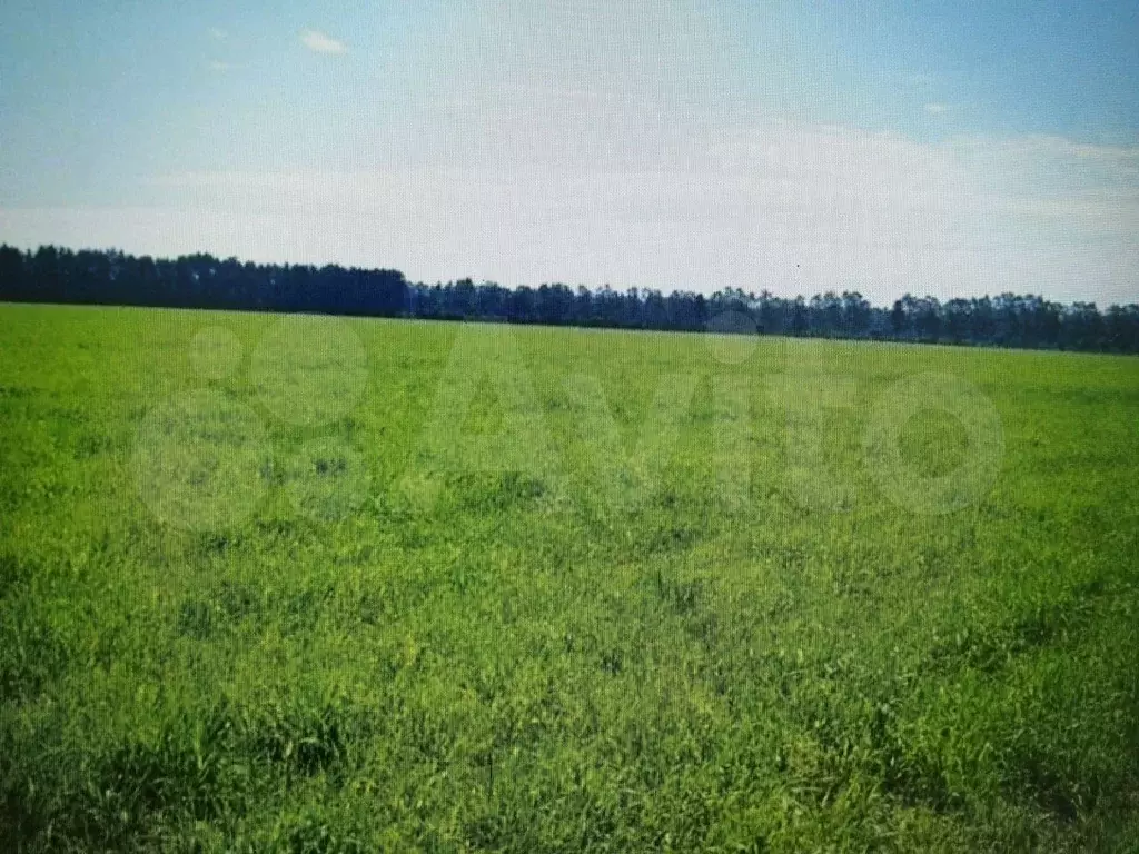 Участок 7 га (СНТ, ДНП) - Фото 0