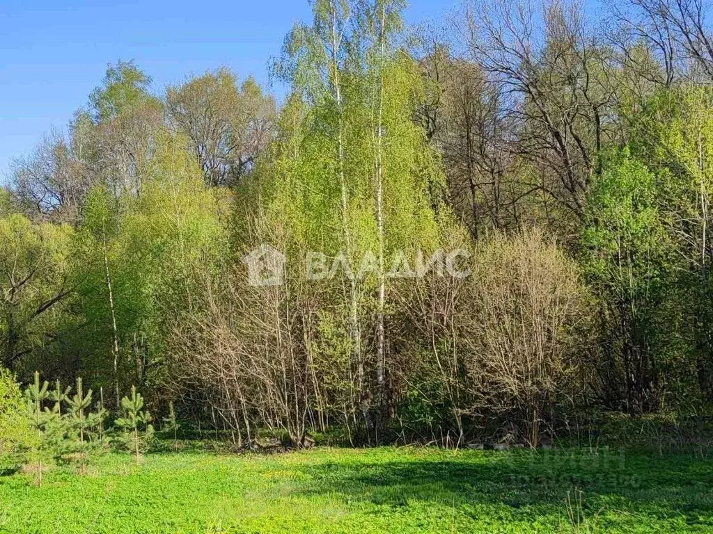 Участок в Владимирская область, Суздальский район, Новоалександровское ... - Фото 0