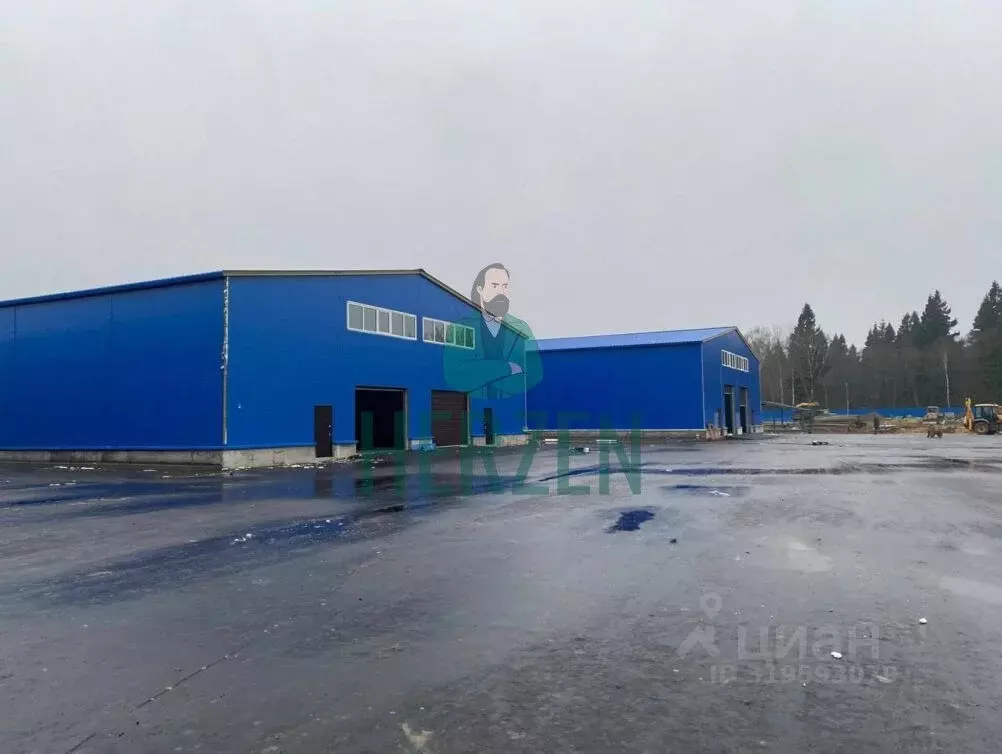 Склад в Московская область, Пушкинский городской округ, д. Григорково, ... - Фото 1