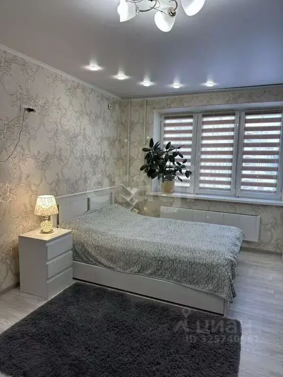 1-к кв. Брянская область, Брянск ул. Имени Н.М. Грибачева, 3 (46.0 м) - Фото 1