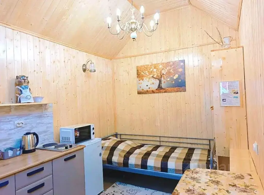 1-к кв. Ставропольский край, Кисловодск ул. Гагарина, 12 (16.0 м) - Фото 0