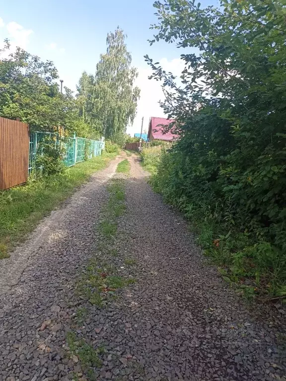 Участок в Красноярский край, Емельяновский муниципальный округ, Марс ... - Фото 2