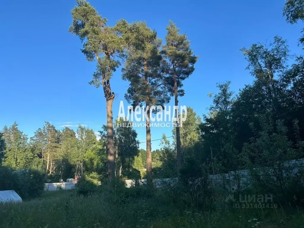 Участок в Ленинградская область, Приозерский район, Мельниковское ... - Фото 2