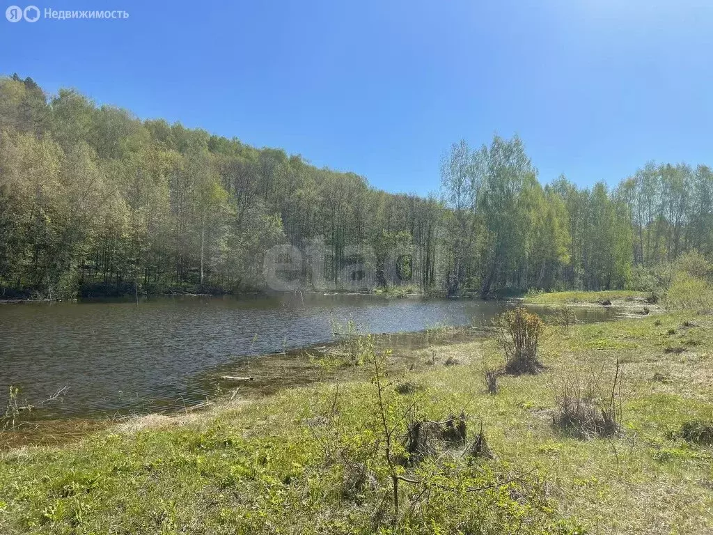 Участок в Зеленодольский район, Большеключинское сельское поселение, ... - Фото 2