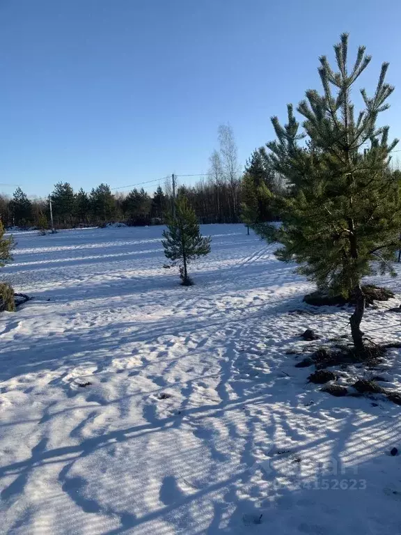Коттедж в Псковская область, Псковский район, д. Подосье ул. Героев . - Фото 0