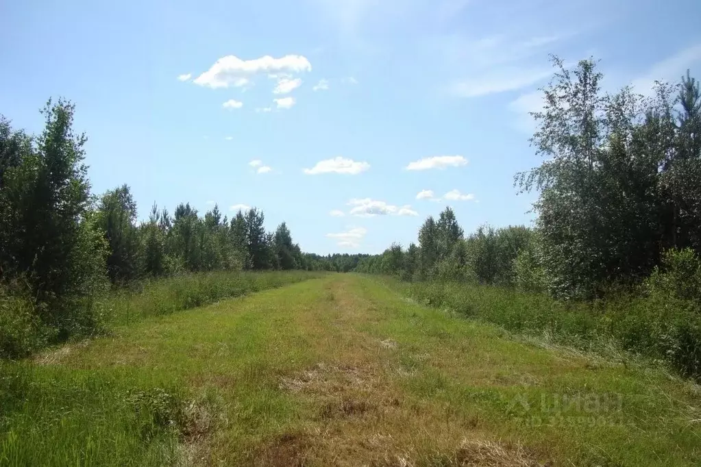 Участок в Ленинградская область, Выборгский район, Красносельское ... - Фото 0