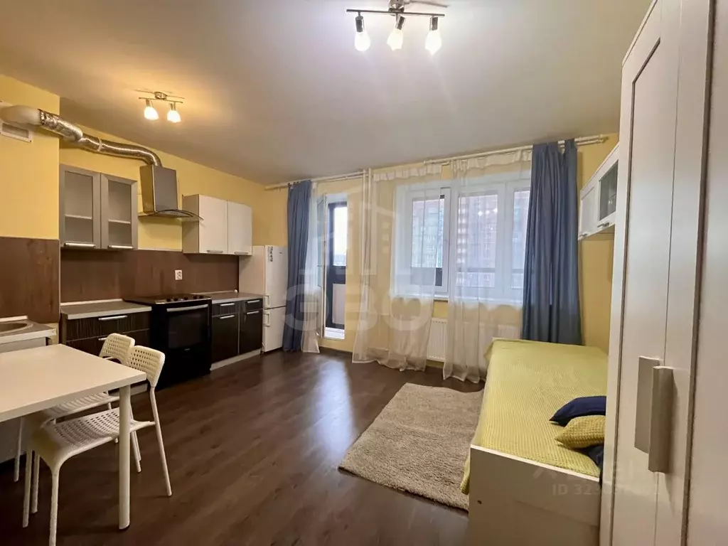 Студия Санкт-Петербург пос. Парголово, ул. Николая Рубцова, 3 (25.4 м) - Фото 1