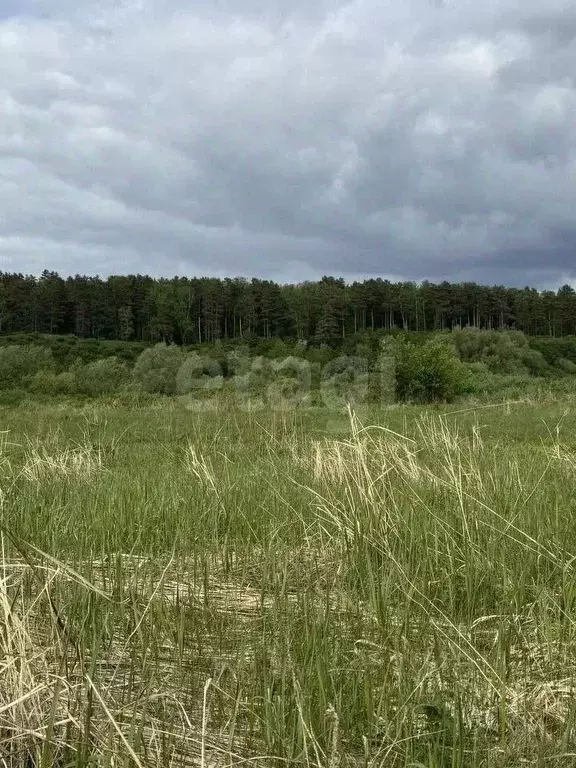 Участок в Новосибирская область, Новосибирск  (10.0 сот.) - Фото 2