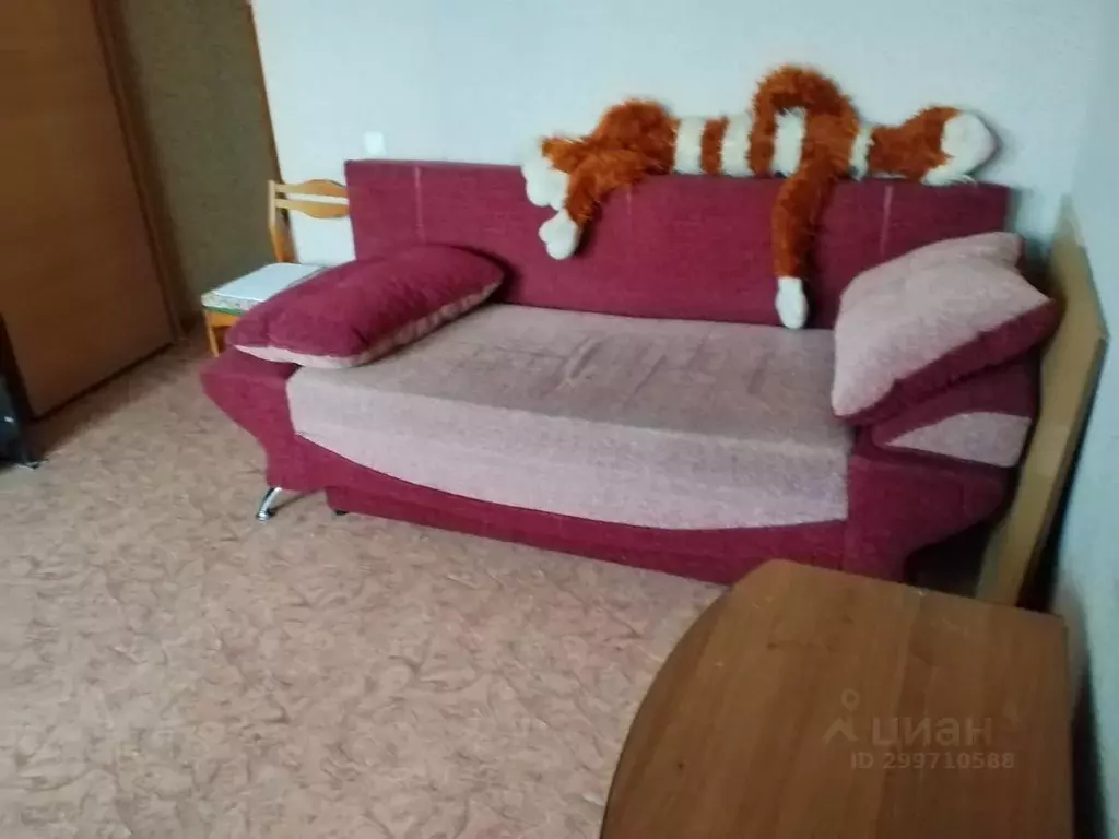 1-к кв. Омская область, Омск проезд 2-й Амурский, 4к2 (36.2 м) - Фото 0