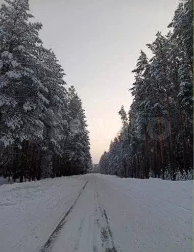 Купить Дачу В Снт Владимирский Пермский Край