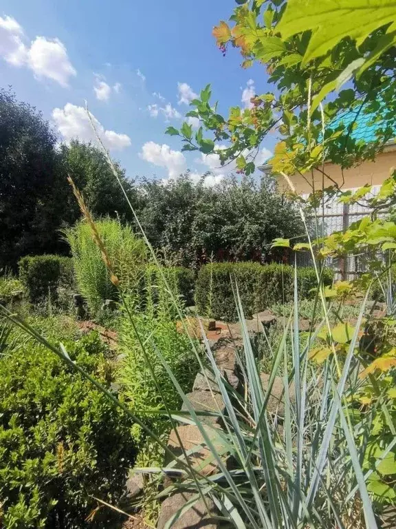 Участок в Ростовская область, Ростов-на-Дону Снеговой пер., 75/133 ... - Фото 1