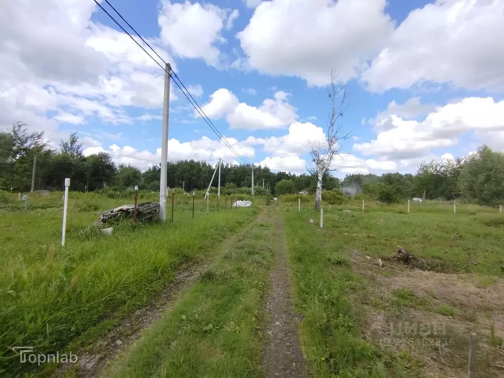 Участок в Калининградская область, Калининград Балтиец СНТ, проезд ... - Фото 1