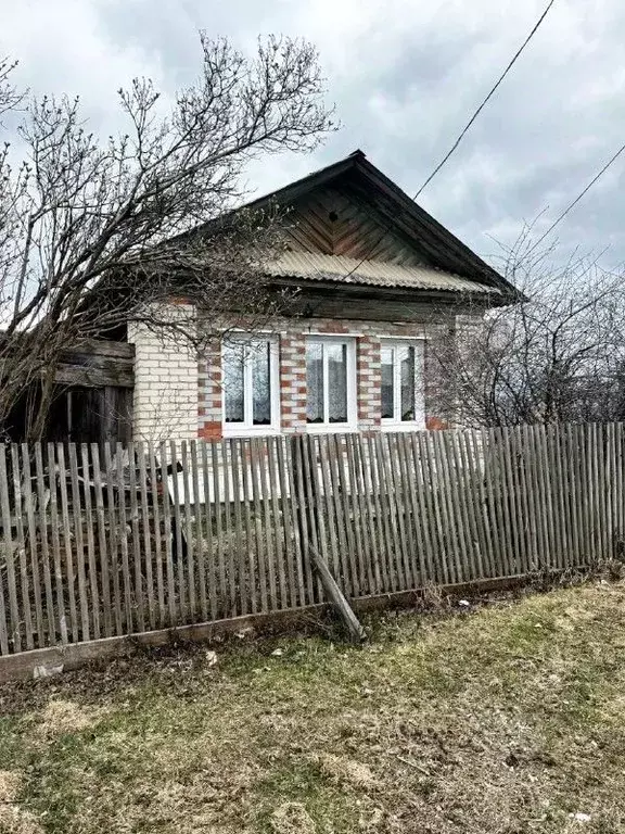 Дом в Челябинская область, Касли ул. 7 Ноября (42 м) - Фото 1