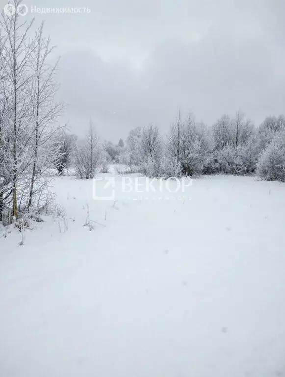 Участок в Костромская область, Пыщугский муниципальный округ, деревня ... - Фото 2