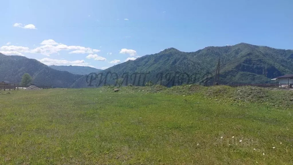 Участок в Алтай, Чемальский район, с. Чемал Советская ул. (12.0 сот.) - Фото 2