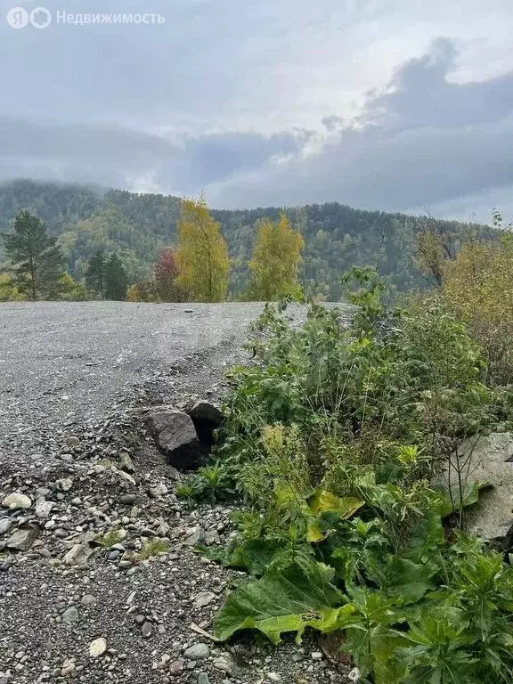 Участок в Манжерокское сельское поселение, село Озёрное, Таёжная улица ... - Фото 1