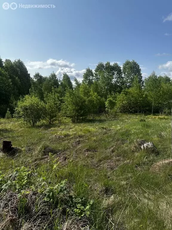 Дом в Иркутский муниципальный округ, СНТ Радуга-2 (22.5 м) - Фото 1