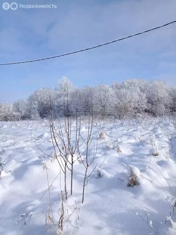 Участок в Шумское сельское поселение (28.6 м) - Фото 0