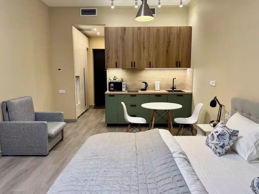 Студия Санкт-Петербург наб. Макарова, 58с2 (30.0 м) - Фото 1