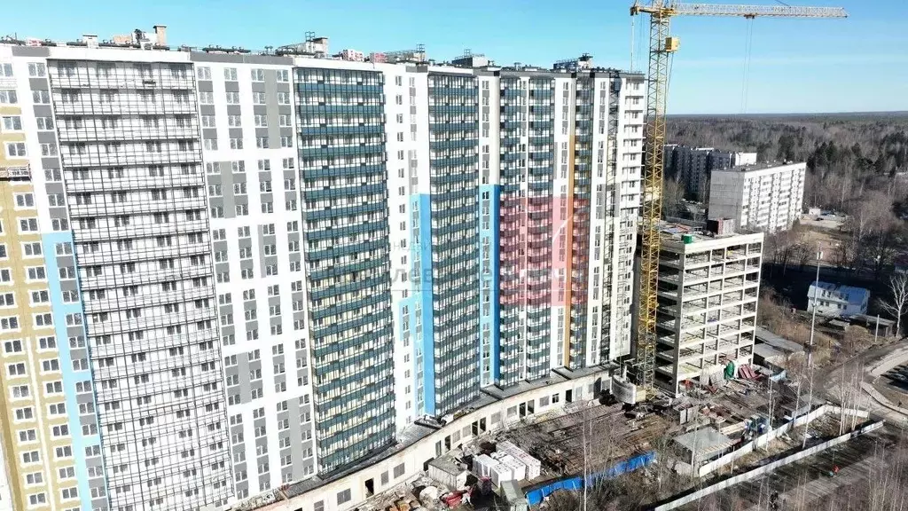 Студия Ленинградская область, Мурино Всеволожский район, Оборонная ... - Фото 0
