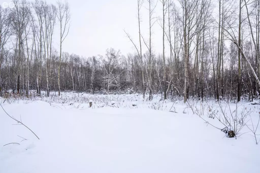 Участок в Новосибирск, Дзержинский район (7.19 м) - Фото 1