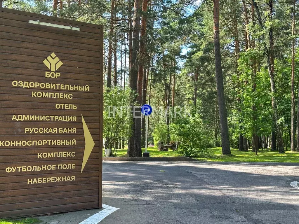 Дом в Московская область, Домодедово городской округ, д. Одинцово, Бор ... - Фото 1
