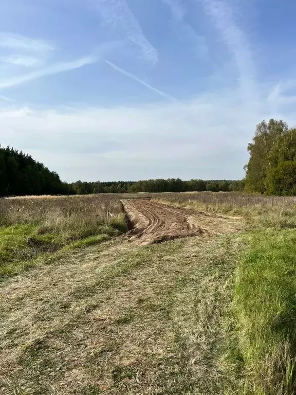 Участок в Московская область, Раменский муниципальный округ, Опушкино ... - Фото 2