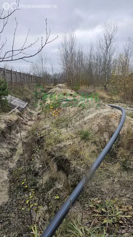 Участок в Брянск, Фосфоритная улица (13 м) - Фото 1