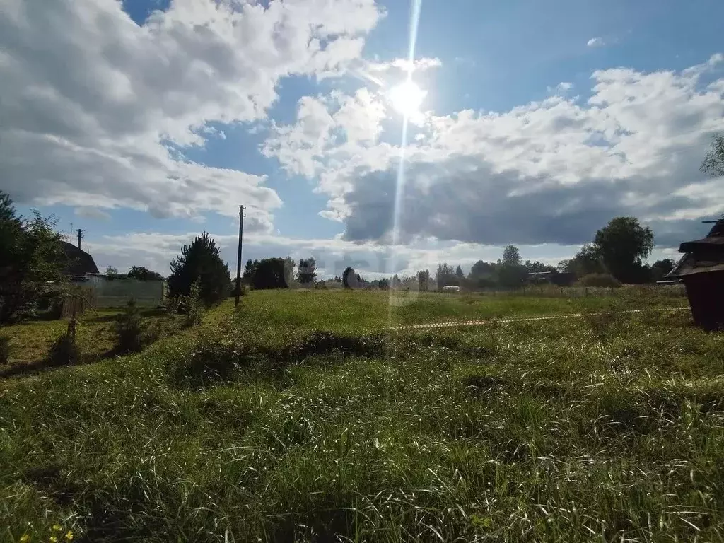 Участок в Смоленская область, Смоленский муниципальный округ, д. ... - Фото 2