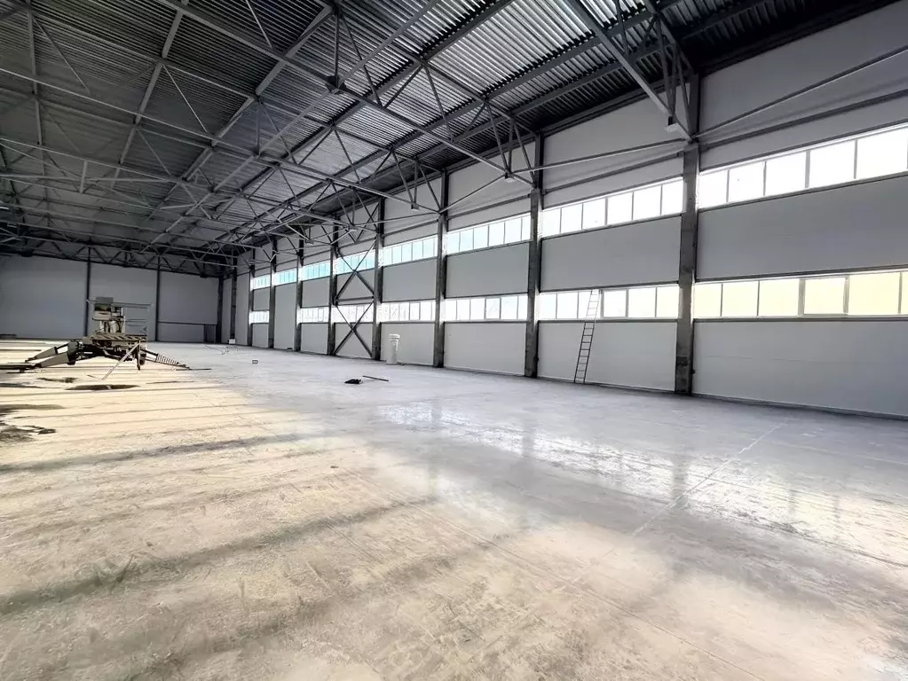 Склад в Алтайский край, Барнаул ул. Попова, 191 (1495 м) - Фото 1