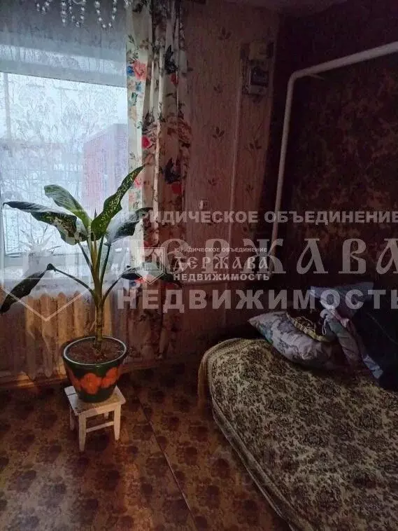 Дом в Кемеровская область, Кемерово Кишиневская ул., 20 (55 м) - Фото 1