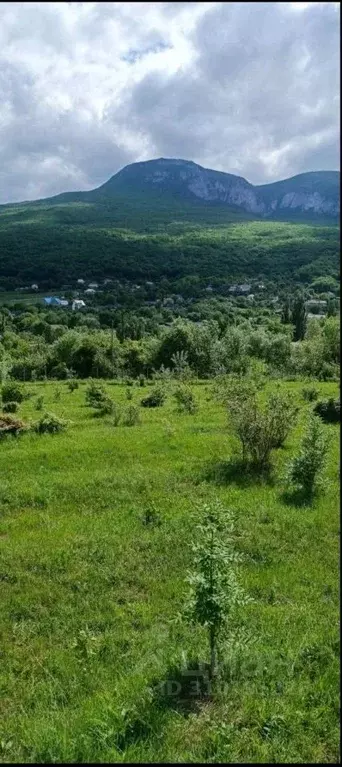 Участок в Крым, Бахчисарайский район, Голубинское с/пос, с. Соколиное ... - Фото 1