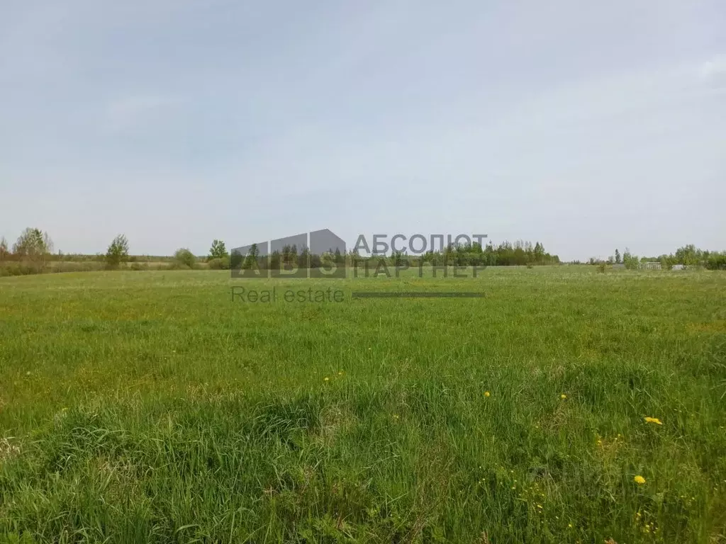Участок в Новгородская область, Новгородский район, Трубичинское ... - Фото 0
