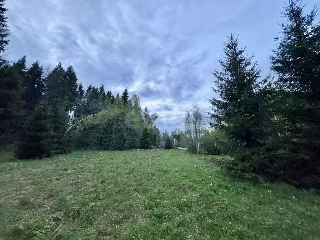 Участок в Московская область, Рузский муниципальный округ, д. Петряиха ... - Фото 1