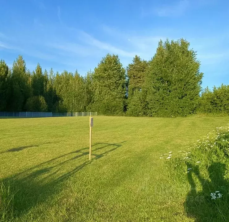 Участок в Калужская область, Тарусский муниципальный округ, Кузьмищево ... - Фото 2